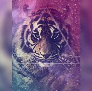 Meet your Posher, Reginald